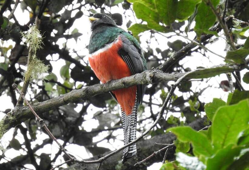 Bed and Breakfast Miriam S Quetzals Lodge