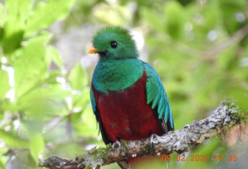 Bed and Breakfast Miriam S Quetzals Lodge