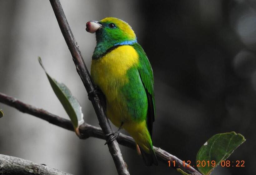 Bed and Breakfast Miriam S Quetzals Lodge