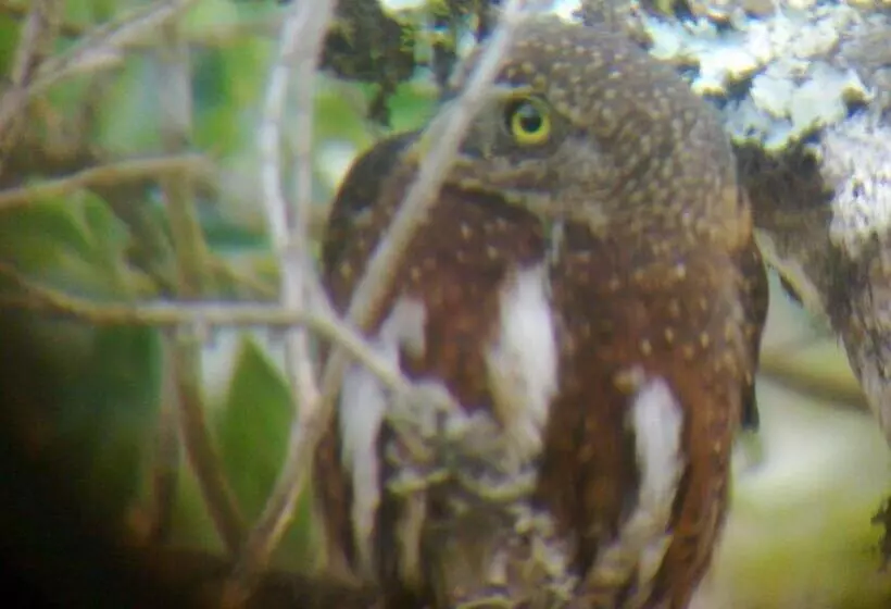 Aamiaismajoitus (B&B) Miriam S Quetzals Lodge