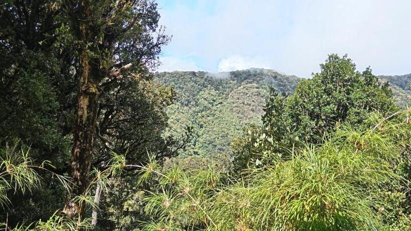 Bed and Breakfast Miriam S Quetzals Lodge