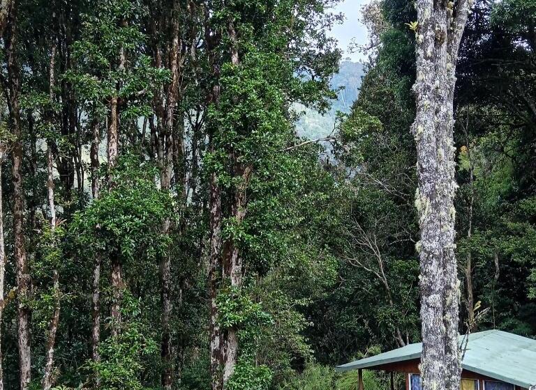 Bed and Breakfast Miriam S Quetzals Lodge