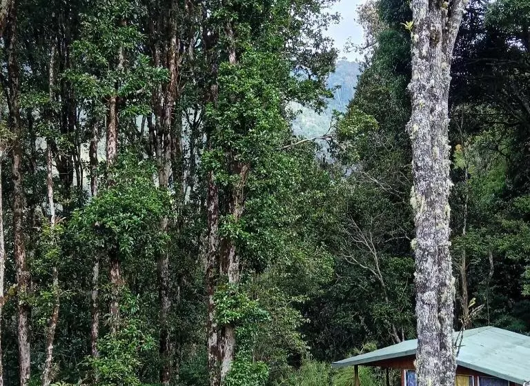 Aamiaismajoitus (B&B) Miriam S Quetzals Lodge