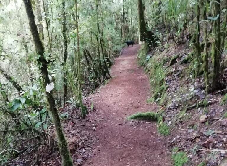 Bed and Breakfast Miriam S Quetzals Lodge