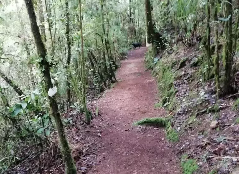 Aamiaismajoitus (B&B) Miriam S Quetzals Lodge