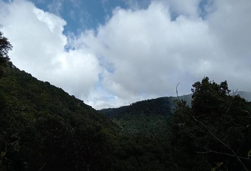 Bed and Breakfast Miriam S Quetzals Lodge