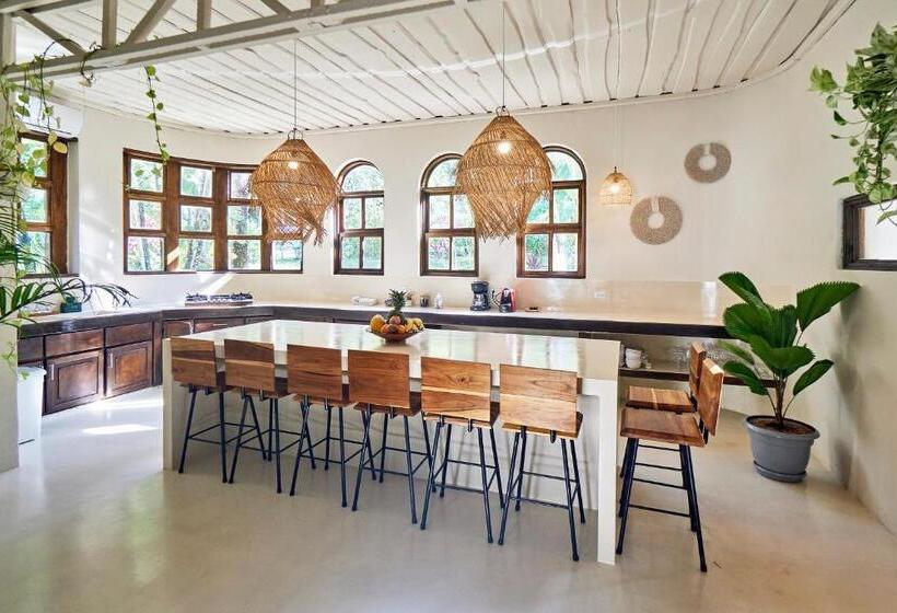 ホテル Paradise Beach Lodge