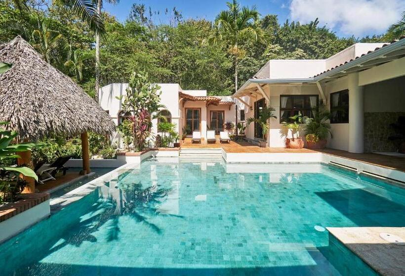 ホテル Paradise Beach Lodge