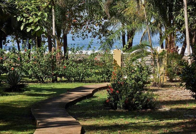 ホテル Paradise Beach Lodge