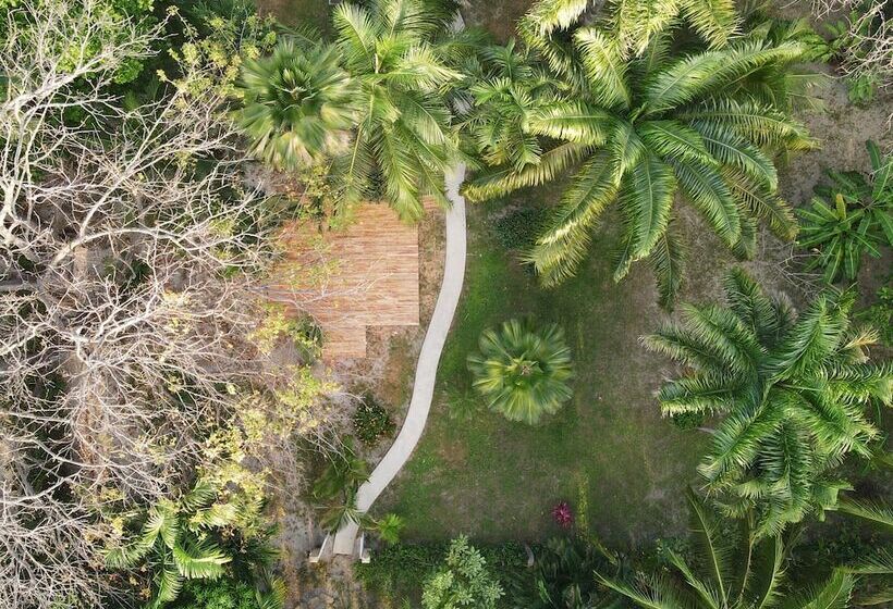 ホテル Paradise Beach Lodge