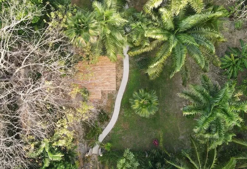 Hotelli Paradise Beach Lodge