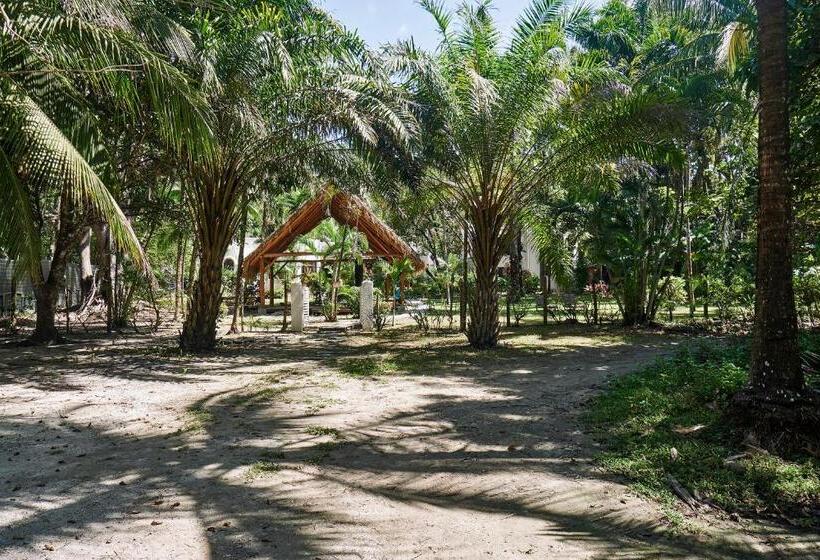 ホテル Paradise Beach Lodge