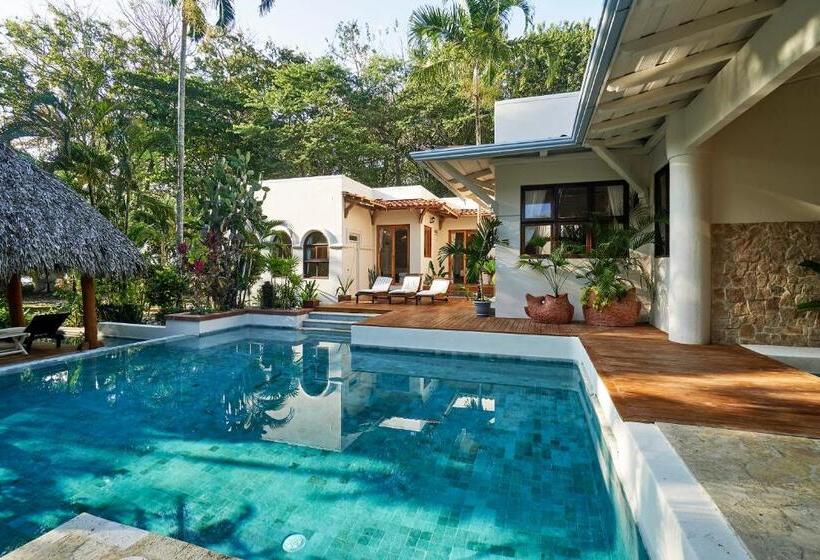 ホテル Paradise Beach Lodge