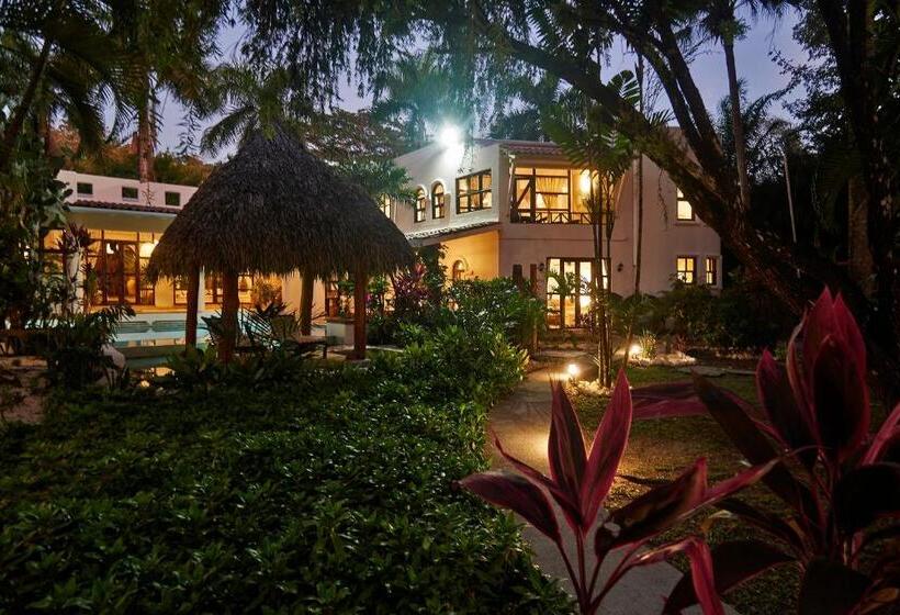 ホテル Paradise Beach Lodge