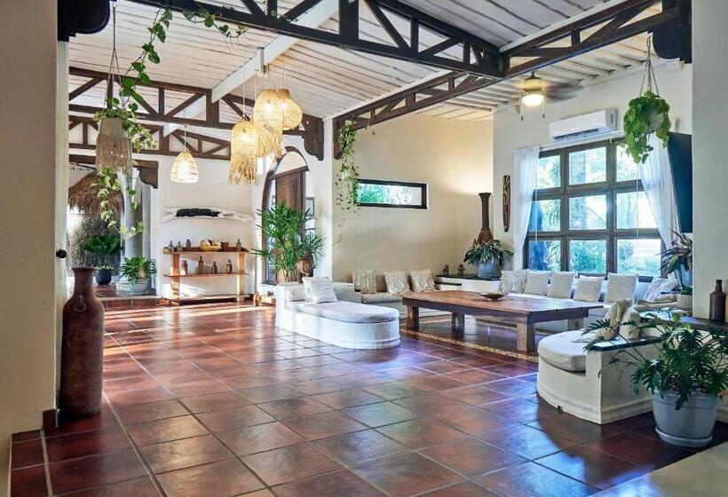 ホテル Paradise Beach Lodge