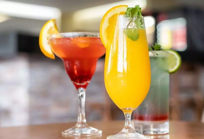 Vivence Suítes Hotel Palmas