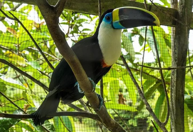 Hotelli Amazon Oasis Floating Lodge