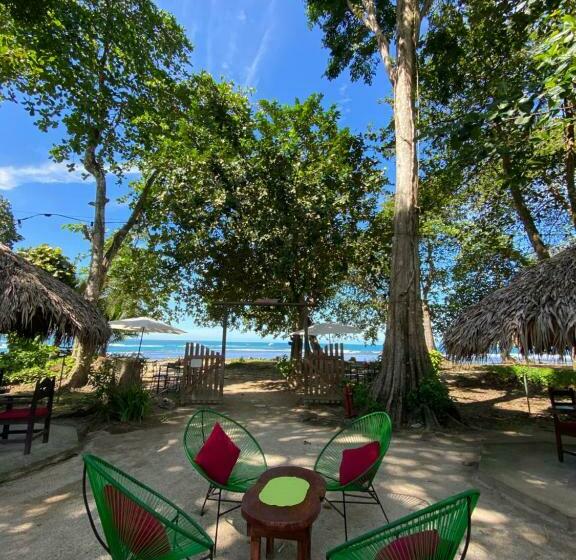 هاستل Amimodobeachrooms