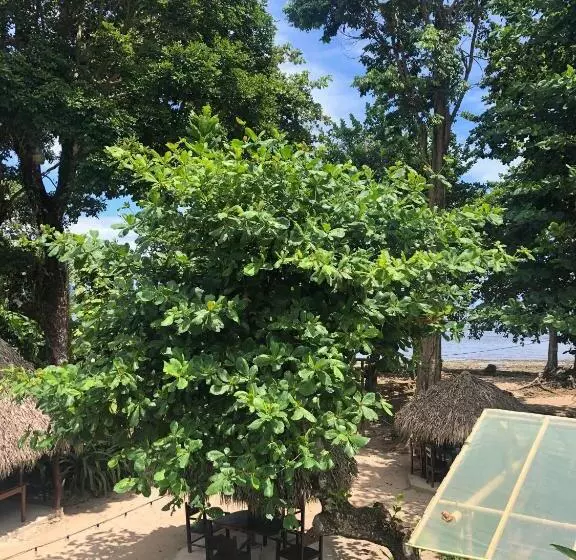 Retkeilymaja Amimodobeachrooms