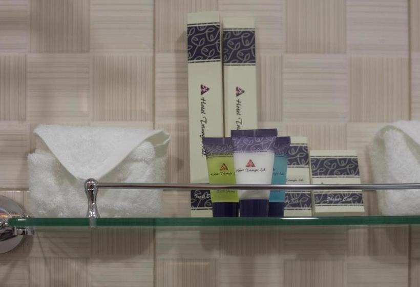 هتل Triangle Mbarara