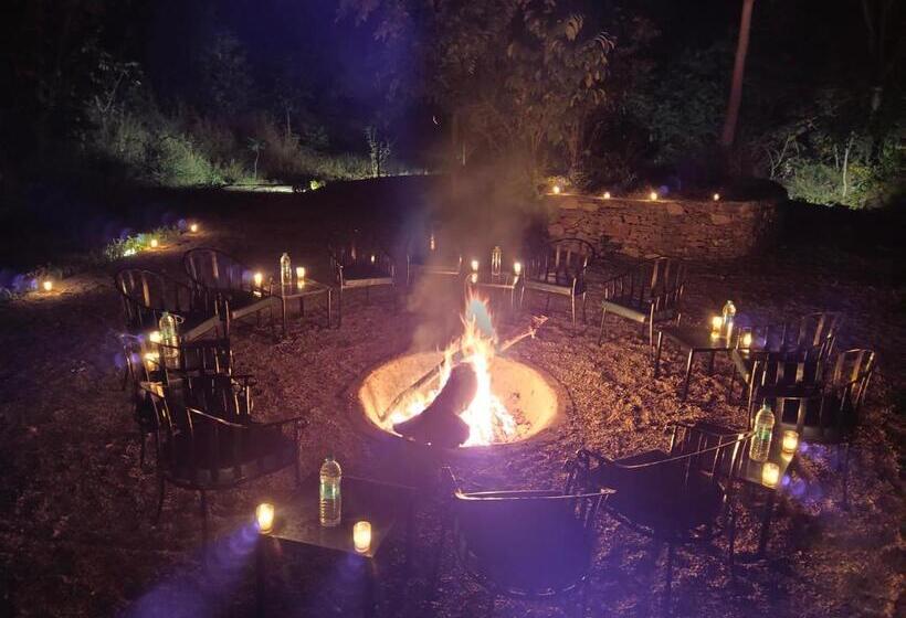 渡假胜地  Bella Basera