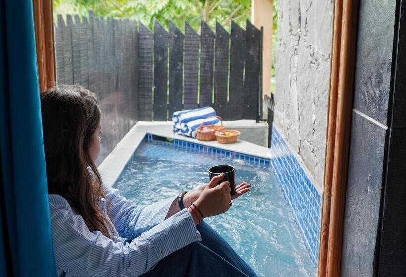 渡假胜地  Bella Basera