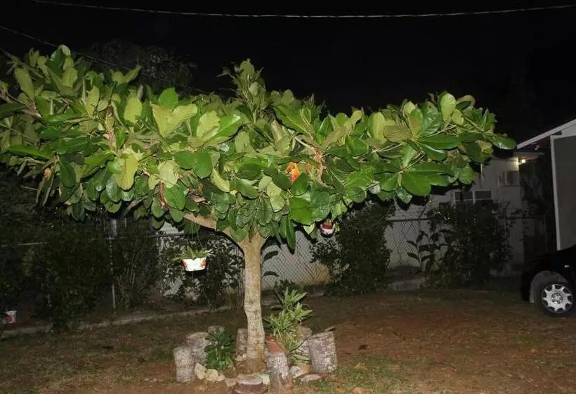 تختخواب و صبحانه Ritashomeawayfromhome