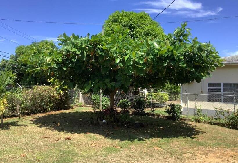 تختخواب و صبحانه Ritashomeawayfromhome