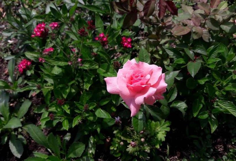 Pension Valle Paradise