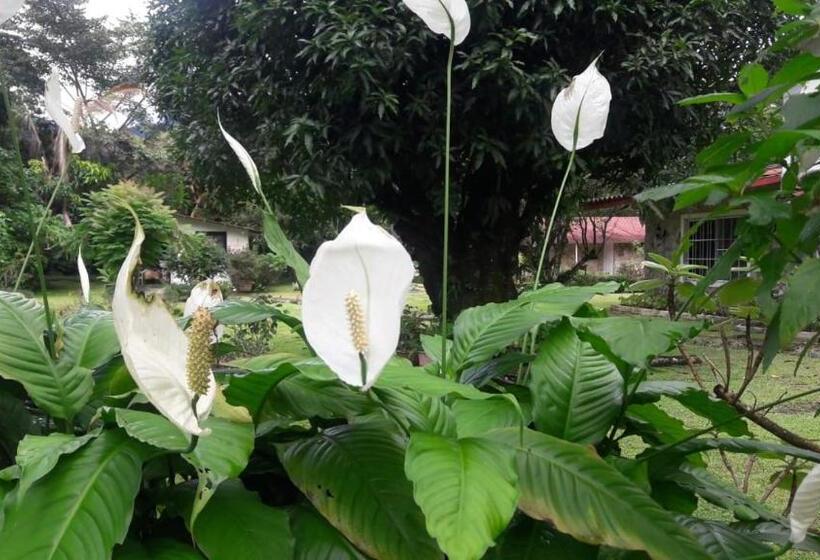 Pension Valle Paradise