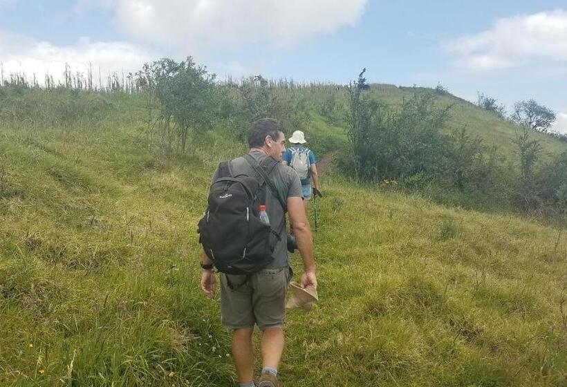 בית מלון כפרי Ilatoa Lodge