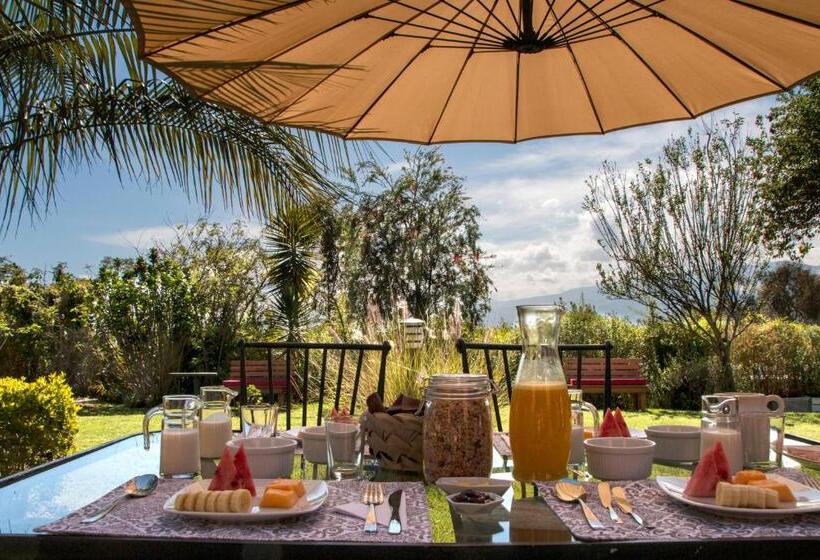 בית מלון כפרי Ilatoa Lodge