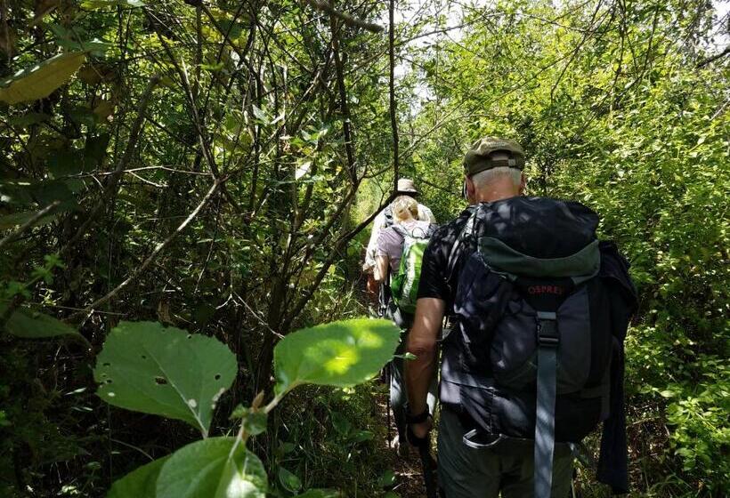 בית מלון כפרי Ilatoa Lodge