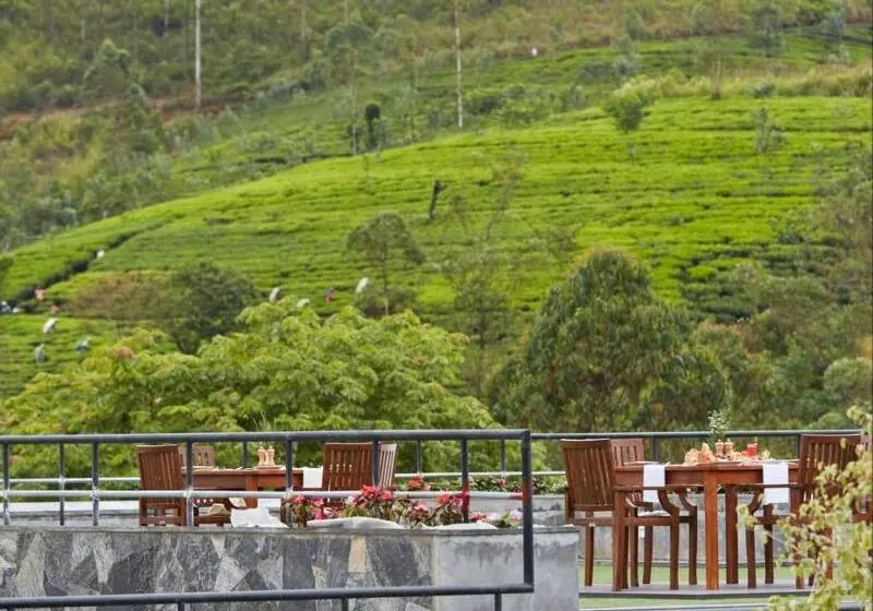 هتل The Argyle Luxury Boutique