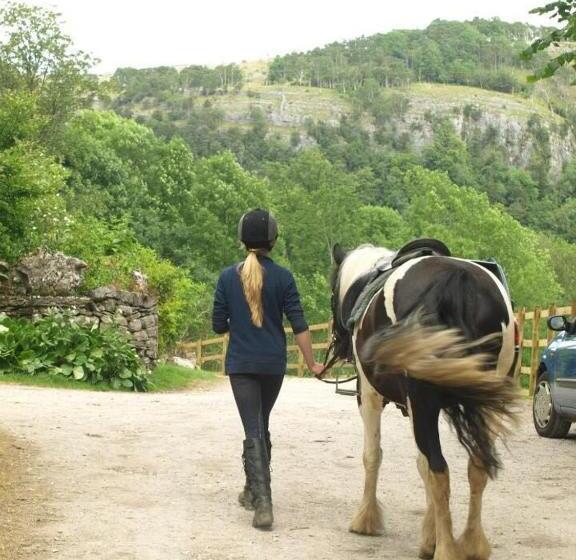 پانسیون Witherslack Hall Farmhouse