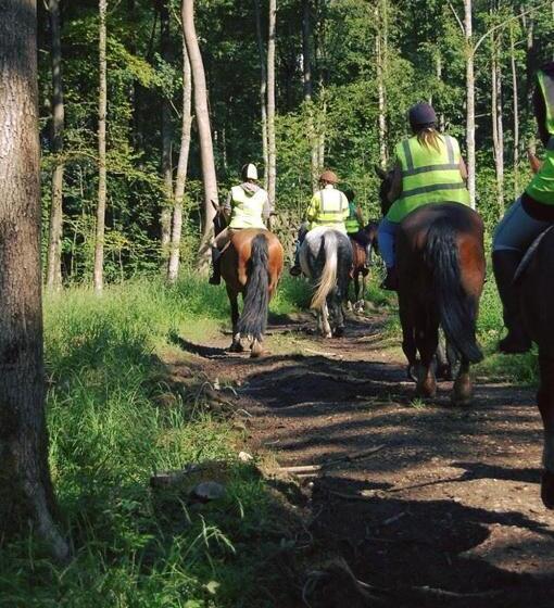پانسیون Witherslack Hall Farmhouse