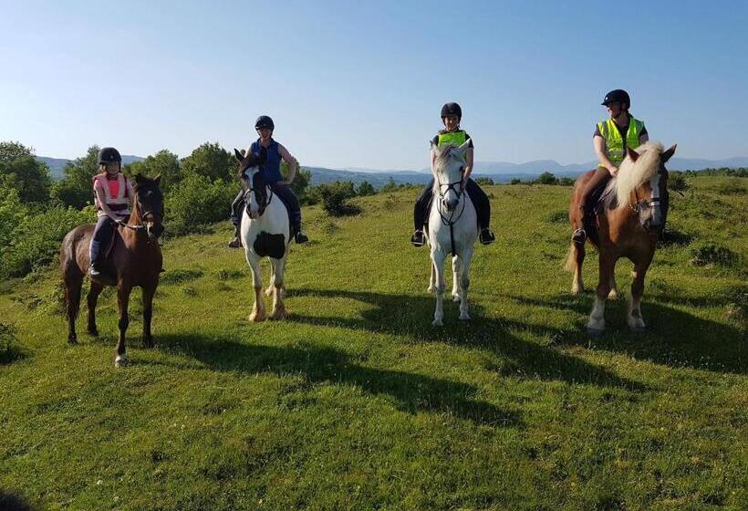 پانسیون Witherslack Hall Farmhouse