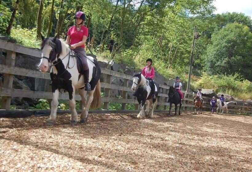 پانسیون Witherslack Hall Farmhouse