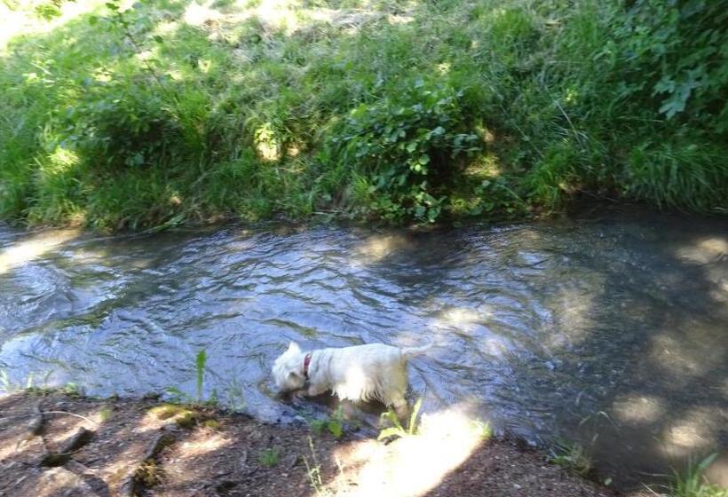 Bed and Breakfast La Grange à Caroline