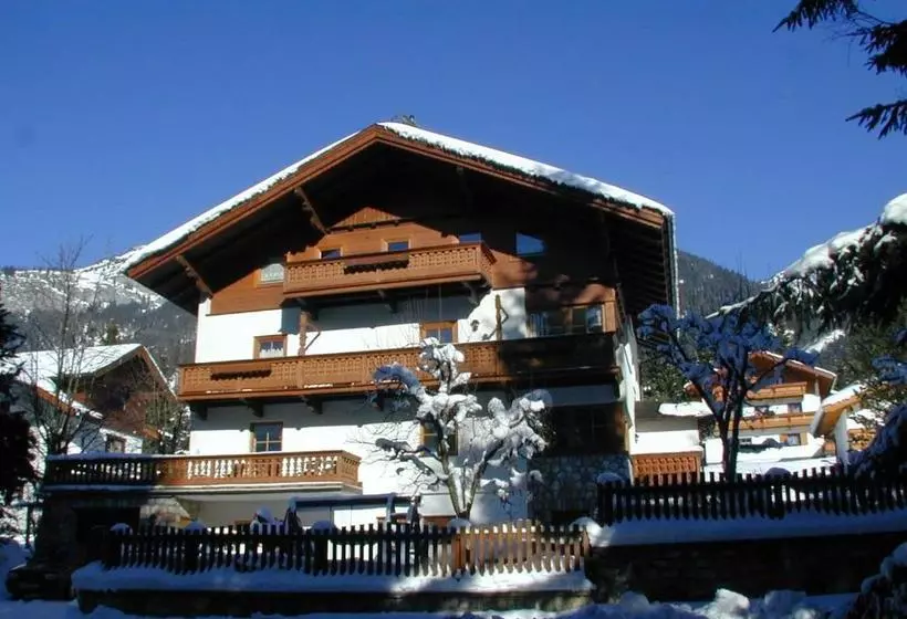 ペンション Landhaus Rofan