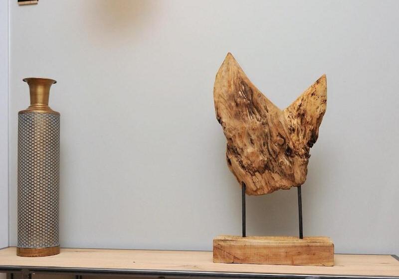 Отель Cims De Camprodon