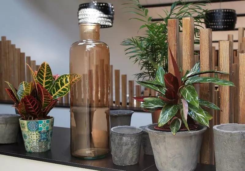 Hotelli Cims De Camprodon