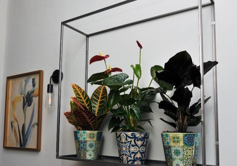 Отель Cims De Camprodon