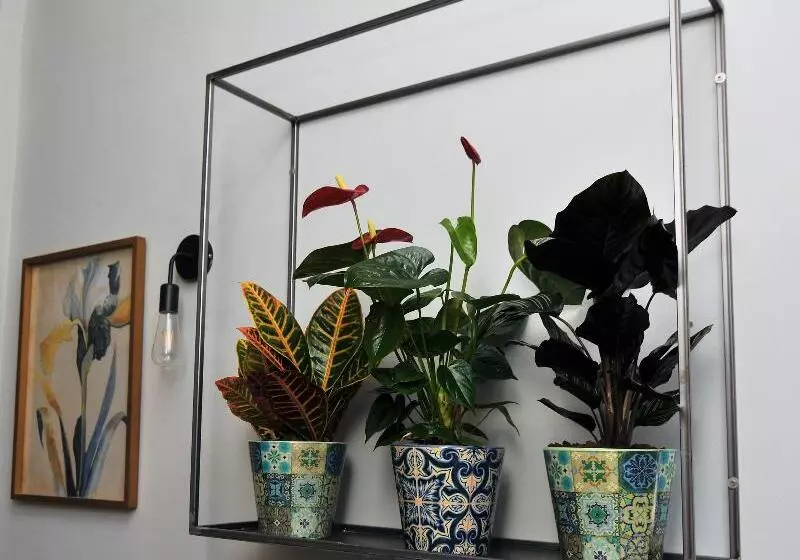 Hotelli Cims De Camprodon