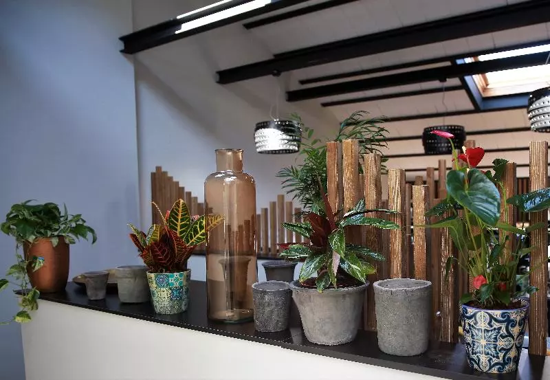 Hotelli Cims De Camprodon