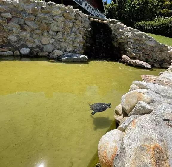 ペンション Pousada Hortelã Bella Vista