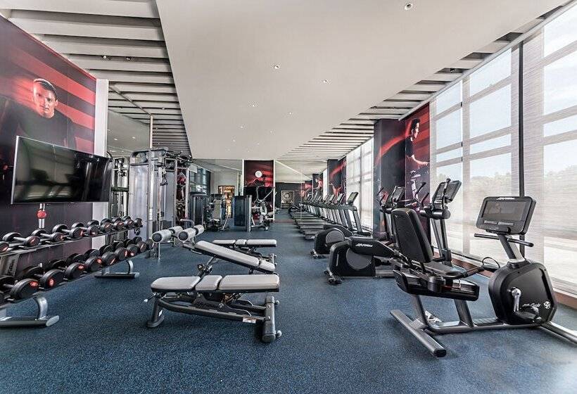 ホテル Dusitd2 Davao