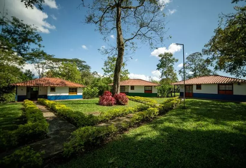 ホテル Barranqueros Soledén