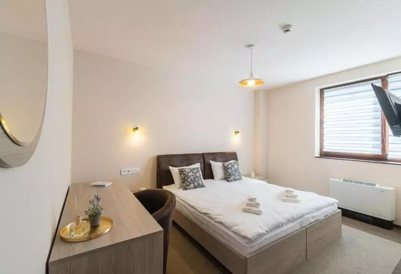 ホテル Pensiunea Select Central