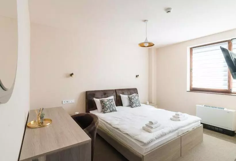 ホテル Pensiunea Select Central